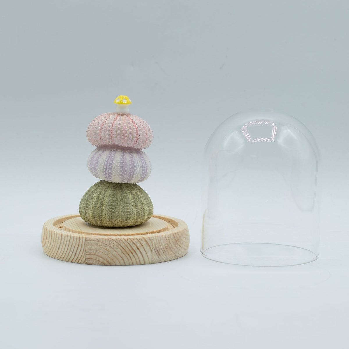 Floral Glow Garden Dome LED Light - Sea Urchins - USB