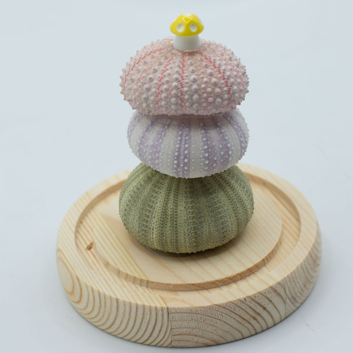 Floral Glow Garden Dome LED Light - Sea Urchins - USB