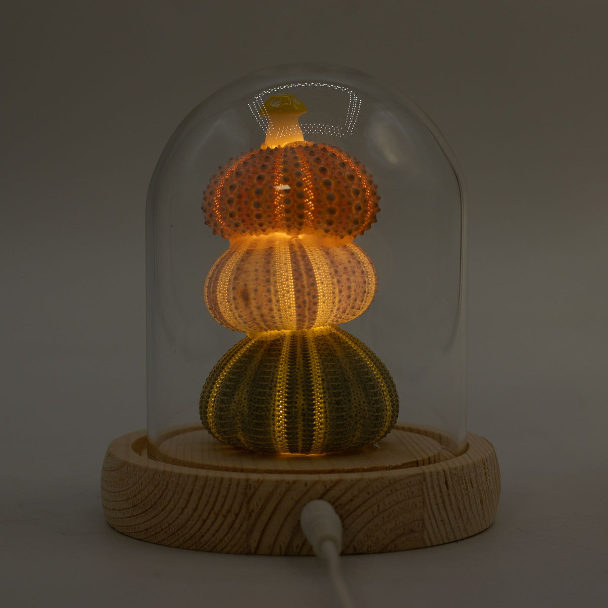 Floral Glow Garden Dome LED Light - Sea Urchins - USB