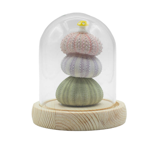 Floral Glow Garden Dome LED Light - Sea Urchins - USB